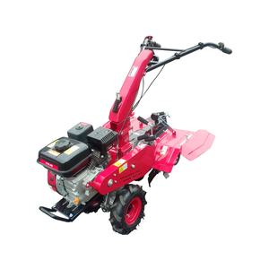 Bodenfräse FPT650A mit Kreiselgrubber, angetrieben durch den Benzinmotor FP177F/P-3 